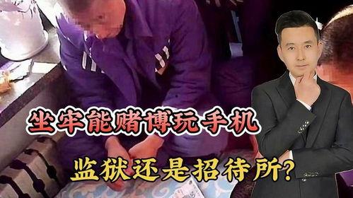 招待手机在线观看,在线观看招待手机，畅享视听新体验